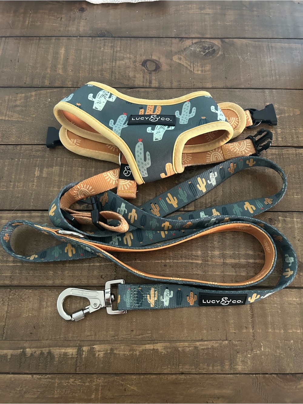 Lucy & Co. Cactus Print Dog Harness and Leash Set - Green & Yellow